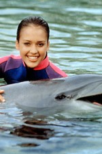 Watch Flipper (The New Adventures of Flipper) Zmovies