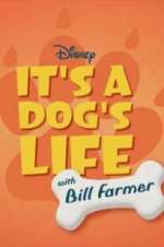 Watch It\'s a Dog\'s Life with Bill Farmer Zmovies