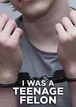 Watch I Was a Teenage Felon Zmovies