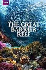Watch Great Barrier Reef with David Attenborough Zmovies