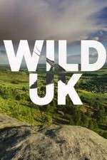 Watch Wild UK Zmovies
