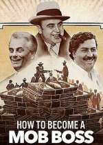 Watch How to Become a Mob Boss Zmovies