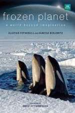 Watch Frozen Planet Zmovies