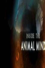 Watch Inside the Animal Mind Zmovies