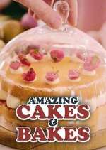Watch Amazing Cakes & Bakes Zmovies