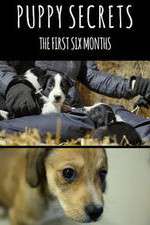 Watch Puppy Secrets: The First Six Months Zmovies