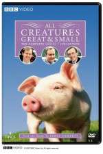 Watch All Creatures Great and Small Zmovies