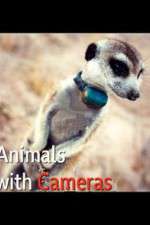Watch Animals with Cameras Zmovies