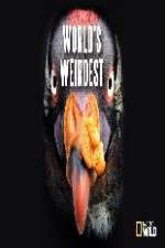 Watch National Geographic Worlds weirdest Zmovies