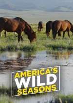 Watch America's Wild Seasons Zmovies