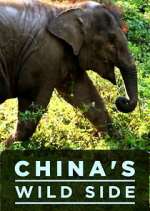 Watch China's Wild Side Zmovies