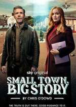 Watch Small Town, Big Story Zmovies
