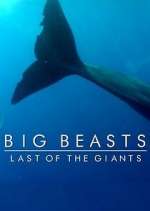 Watch Big Beasts: Last of the Giants Zmovies