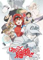 Watch Cells at Work! Zmovies