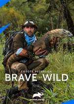 Watch Coyote Peterson: Brave the Wild Zmovies