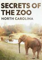 Watch Secrets of the Zoo: North Carolina Zmovies