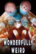 Watch Wonderfully Weird Zmovies