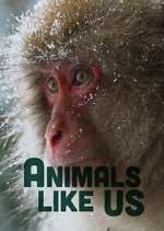Watch Animals Like Us Zmovies