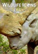 Watch Wildlife Icons Zmovies