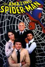 Watch The Amazing Spider-Man Zmovies