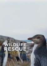 Watch Wildlife Rescue New Zealand Zmovies