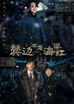 Watch Winter Begonia Zmovies