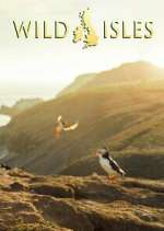 Watch Wild Isles Zmovies