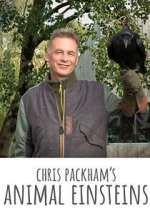 Watch Chris Packham's Animal Einsteins Zmovies