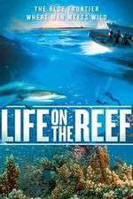 Watch Life on the Reef Zmovies