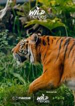 Watch Wild Heroes Zmovies