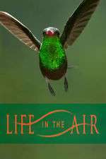 Watch Life in the Air Zmovies