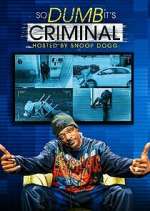 Watch So Dumb It's Criminal Zmovies
