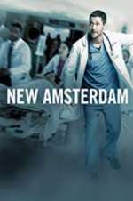 Watch New Amsterdam Zmovies