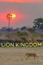 Watch Lion Kingdom Zmovies