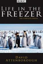 Watch Life in the Freezer Zmovies
