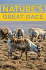 Watch Nature's Great Race Zmovies