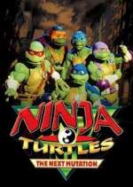 Watch Ninja Turtles: The Next Mutation Zmovies