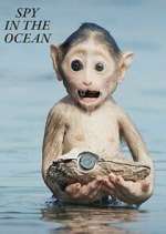 Watch Spy in the Ocean Zmovies