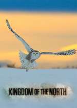 Watch Kingdom of the North Zmovies