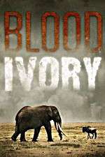 Watch Blood Ivory Zmovies