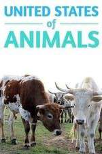 Watch United States of Animals Zmovies