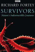 Watch Survivors: Nature's Indestructible Creatures Zmovies