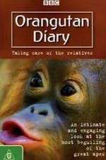 Watch Orangutan Diary Zmovies