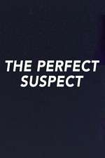 Watch The Perfect Suspect Zmovies