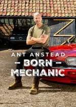 Watch Ant Anstead: Born Mechanic Zmovies