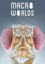 Watch Macro Worlds Zmovies
