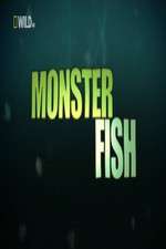 Watch National Geographic Monster Fish Zmovies