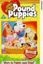 Watch Pound Puppies Zmovies