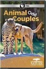 Watch Animal Odd Couples Zmovies