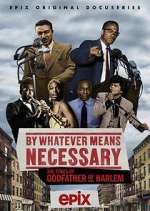 Watch By Whatever Means Necessary: The Times of Godfather of Harlem Zmovies